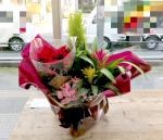 ウィンターギフト！！「花の店　しのはらや」（鹿児島県鹿児島市の花屋）のギャラリー写真